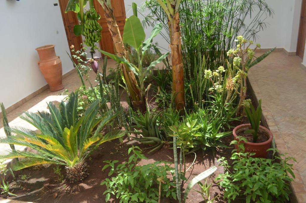 Casa Naima 호텔 Ida Ougourd 외부 사진